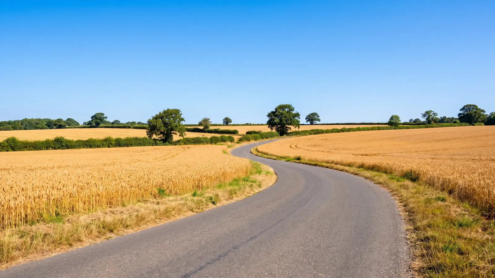 A country road curving through summer fields under a bright sky, the kind of business journey the 55p HMRC mileage rate is claimed on.